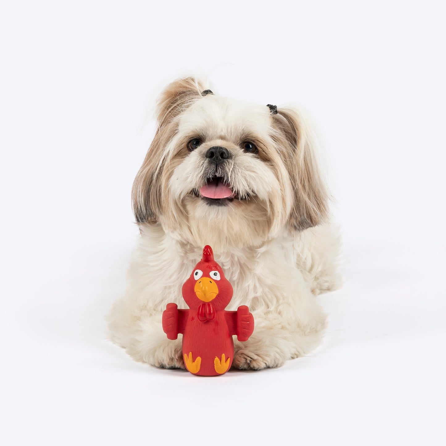 TLC Henry The Hen Squeaky Chew Toy For Puppies & Small Dogs - Red