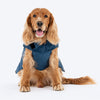 HUFT Snuggle Bug Jacket For Big Dog - Blue - Heads Up For Tails