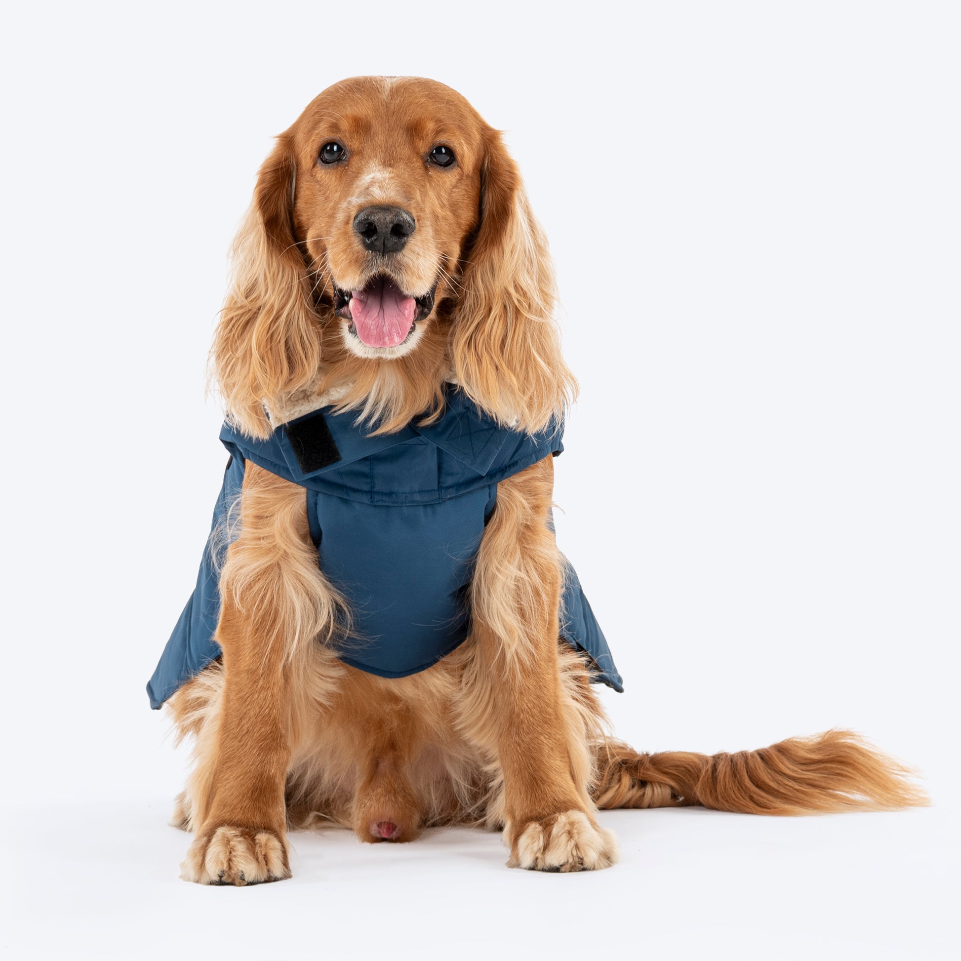 HUFT Snuggle Bug Jacket For Big Dog - Blue - Heads Up For Tails