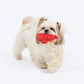 TLC Henry The Hen Squeaky Chew Toy For Puppies & Small Dogs - Red