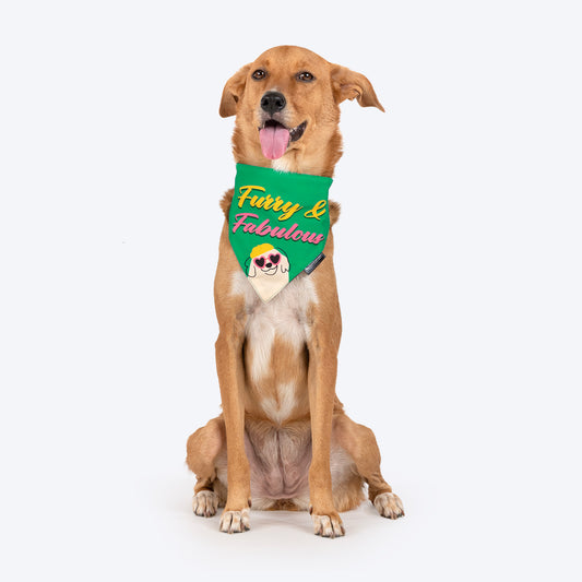 HUFT Furry & Fabulous Bandana For Dog - Green - Heads Up For Tails