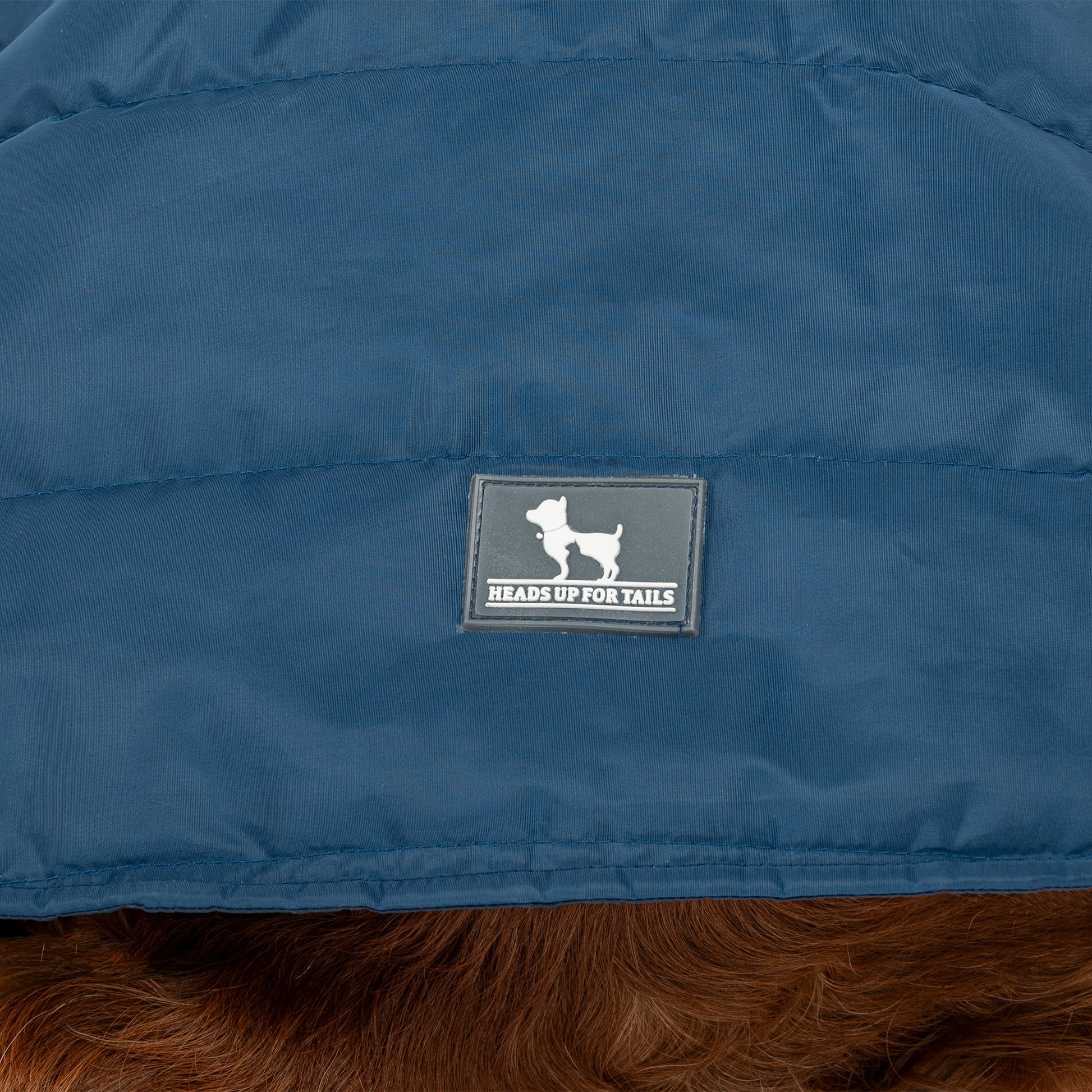 HUFT Snuggle Bug Jacket For Big Dog - Blue - Heads Up For Tails
