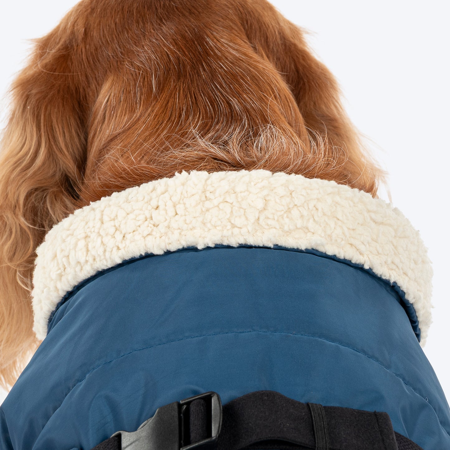 HUFT Snuggle Bug Jacket For Big Dog - Blue - Heads Up For Tails