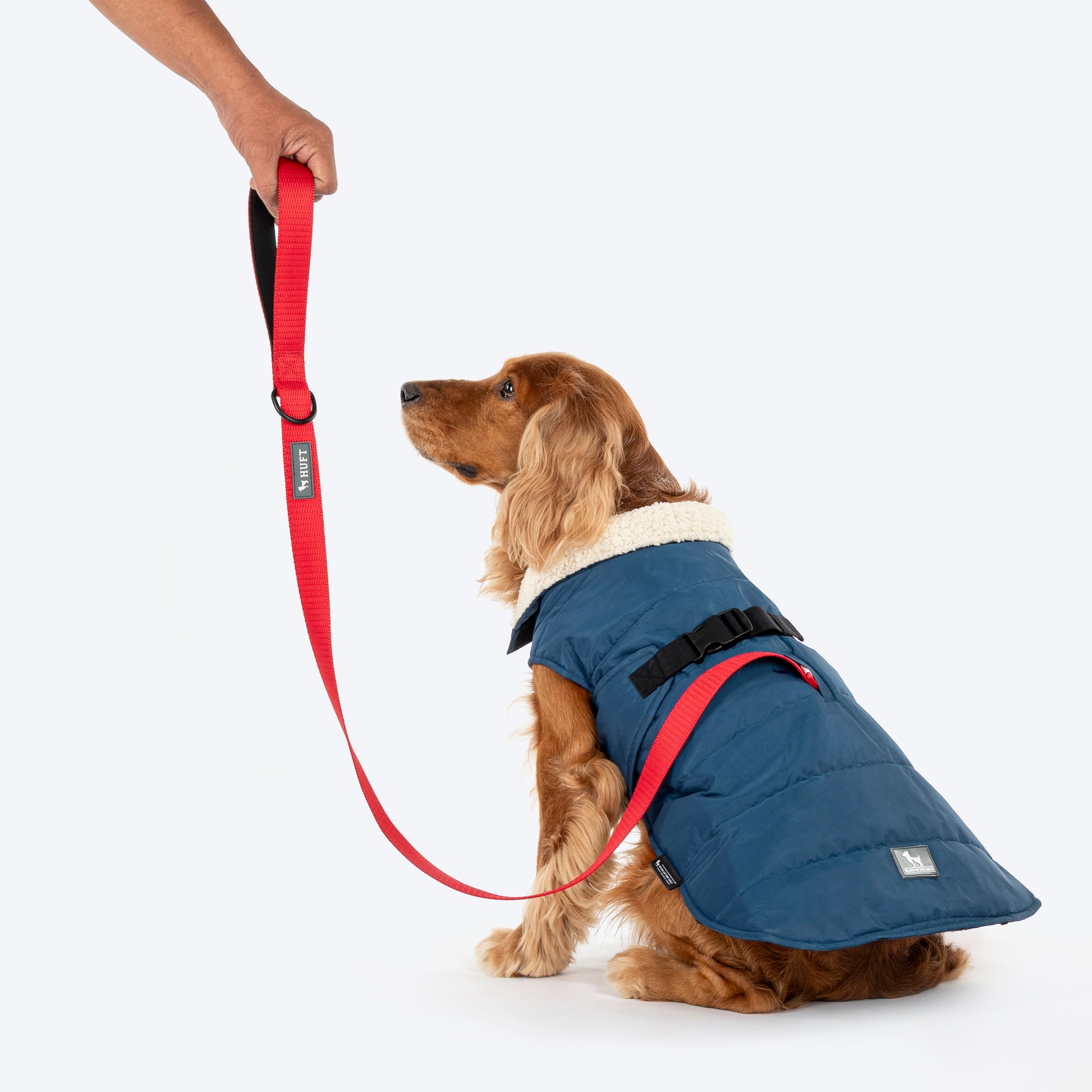 HUFT Snuggle Bug Jacket For Big Dog - Blue - Heads Up For Tails