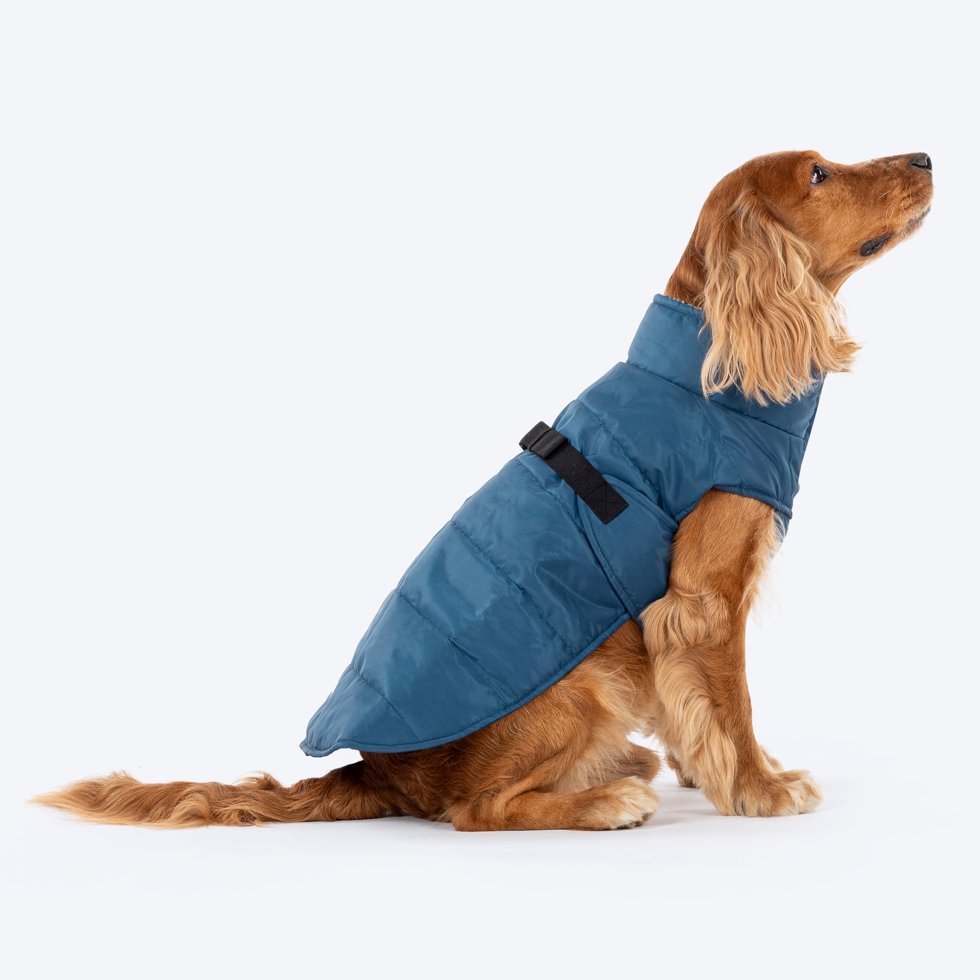 HUFT Snuggle Bug Jacket For Big Dog - Blue - Heads Up For Tails
