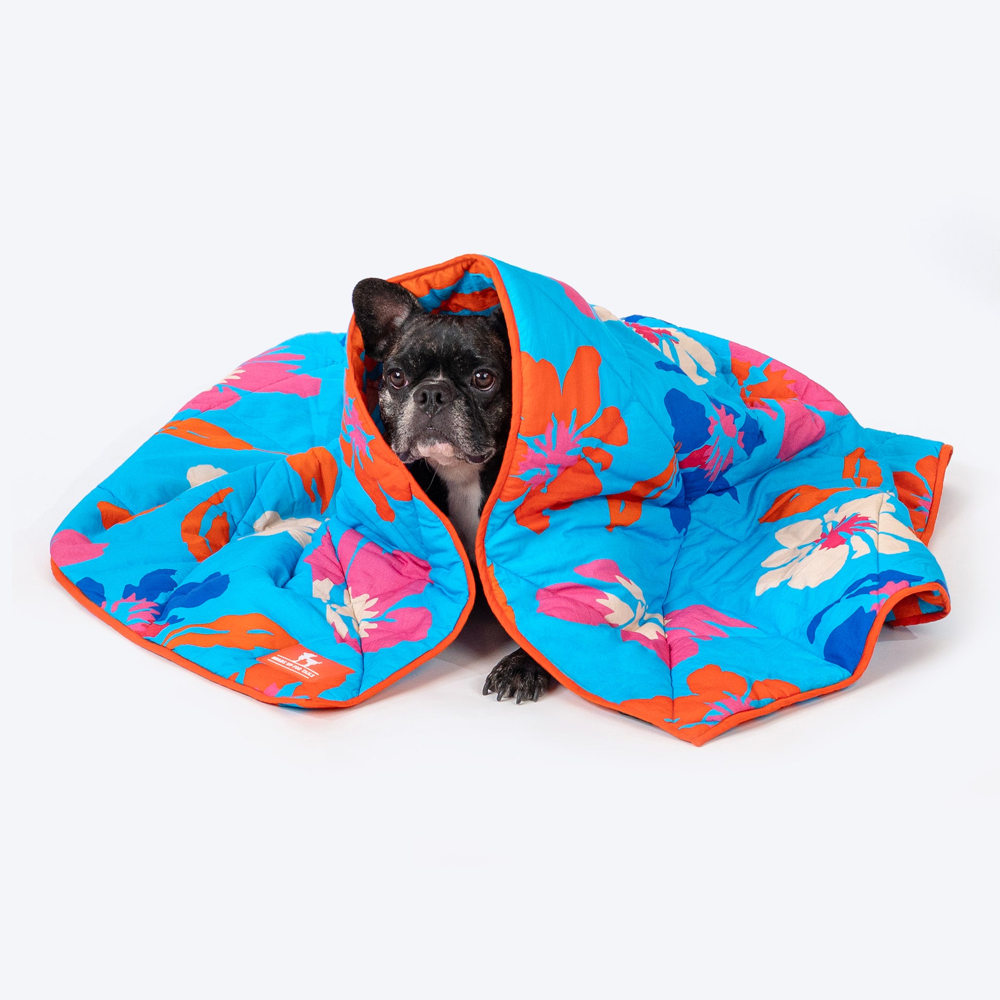 HUFT Summer Bloom Blanket For Dog & Cat - Blue - Heads Up For Tails