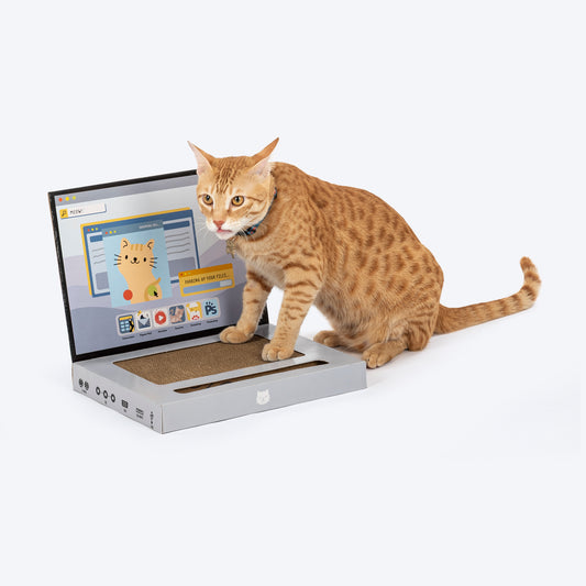 HUFT Meowbook Laptop Sctacher For Cat - Grey