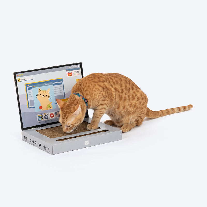 HUFT Meowbook Laptop Sctacher For Cat - Grey - Heads Up For Tails