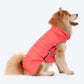 Dash Dog Puffer Dog Jacket - Aqua & Coral_06