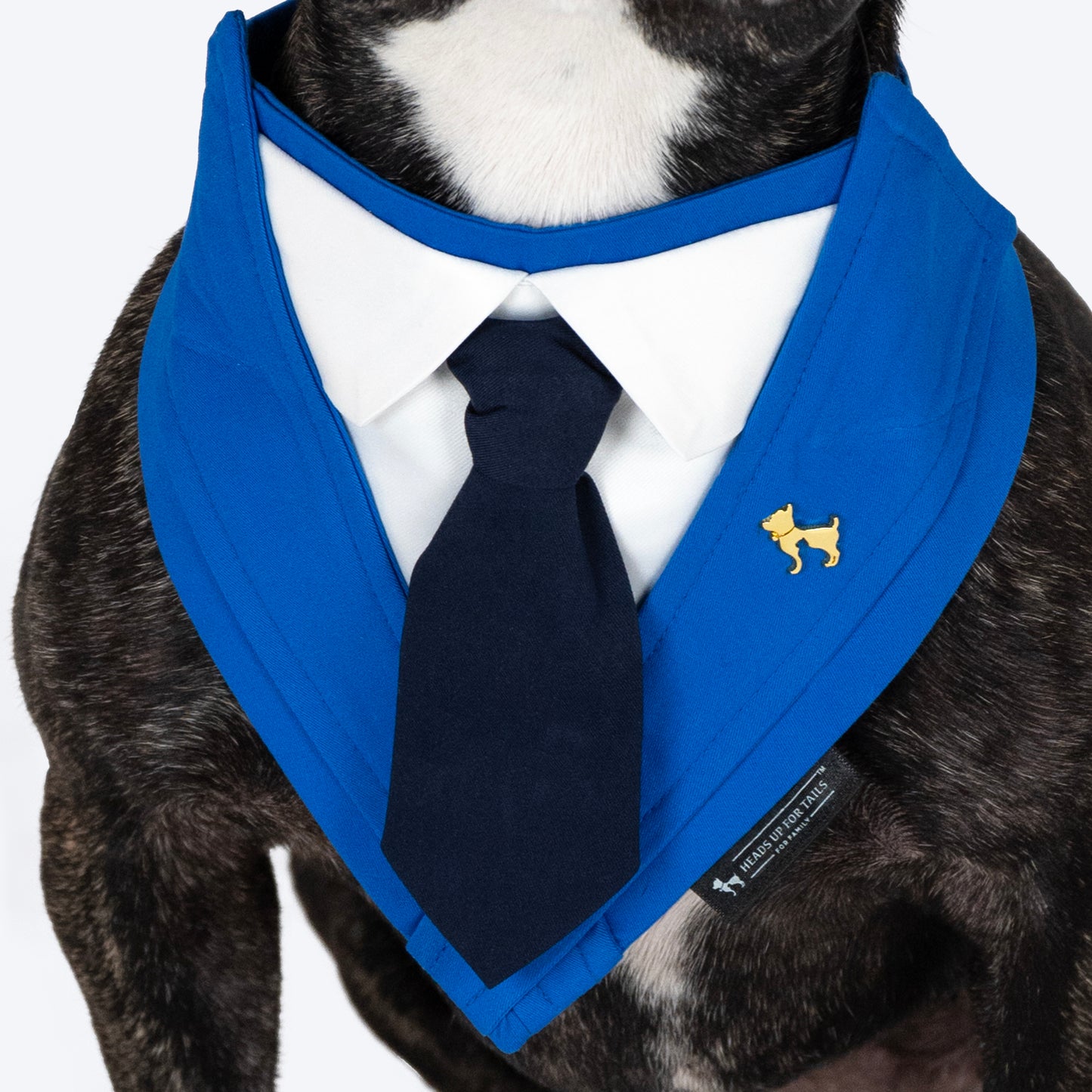 HUFT Formal Fido Bandana For Dog - Blue - Heads Up For Tails