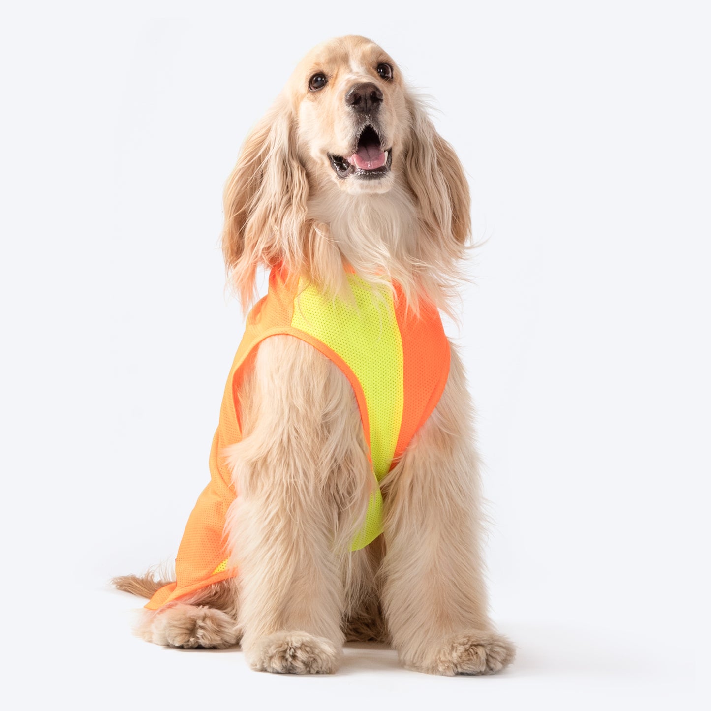 HUFT Neon Burst Vest For Dogs (Orange) - Heads Up For Tails