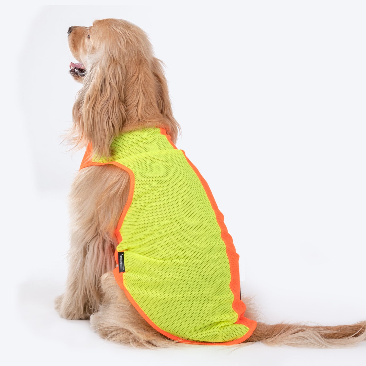 HUFT Neon Burst Vest For Dogs (Orange) - Heads Up For Tails