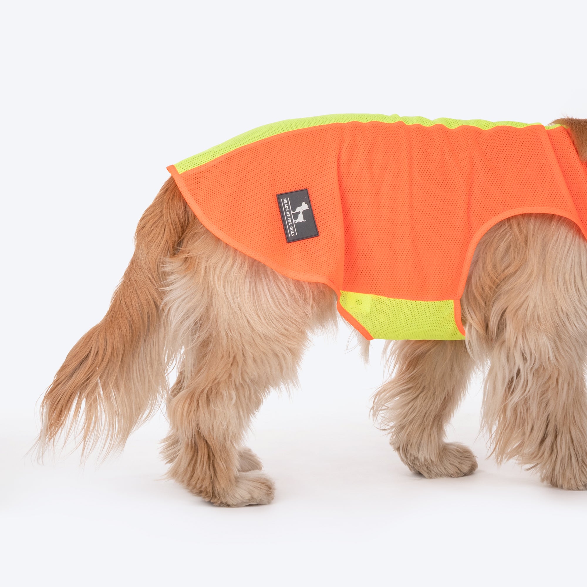 HUFT Neon Burst Vest For Dogs Orange