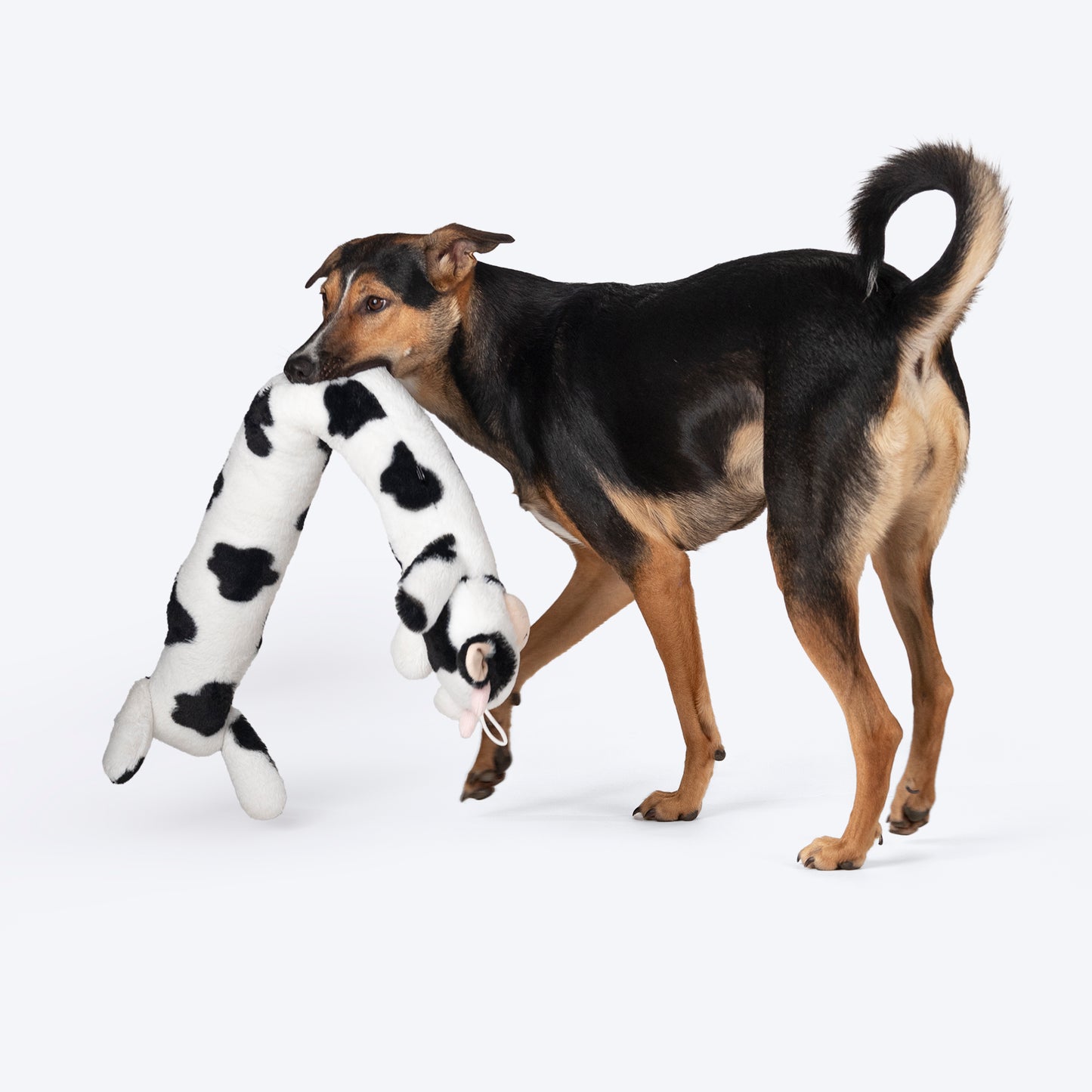 HUFT Moo-Moo Mega Plush Toy For Dog - White & Black