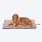 HUFT Cookie Houndstooth Mat For Dog - Brown - Heads Up For Tails