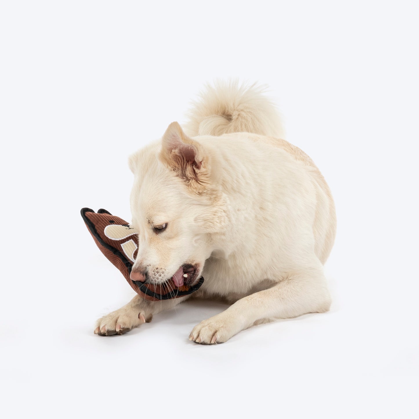 Dash Dog Squeaky Squirrel Plush Toy for Dog - Brown