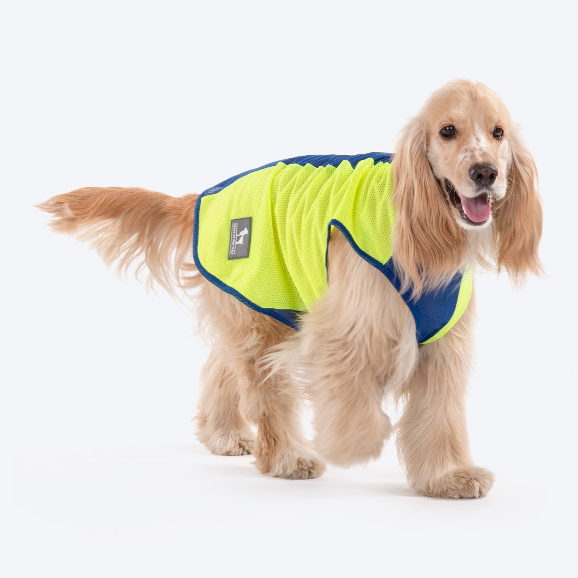 HUFT Neon Burst Vest For Dogs (Blue) - Heads Up For Tails