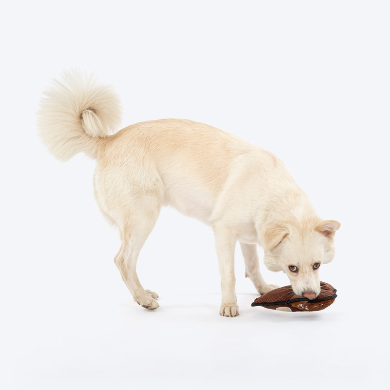 Dash Dog Squeaky Squirrel Plush Toy for Dog - Brown - Heads Up For Tails