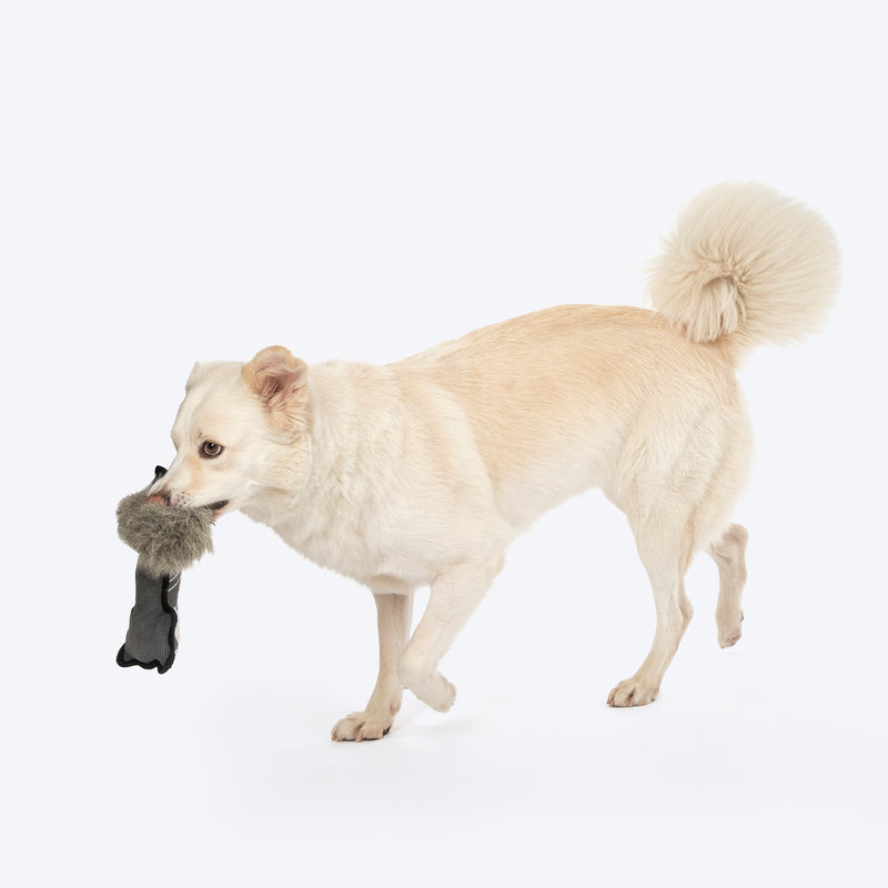 Dash Dog Forest Fox Plush Toy For Dog - Grey - Heads Up For Tails