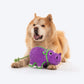 Dash Dog Hippo Tough Toy - Violet_02