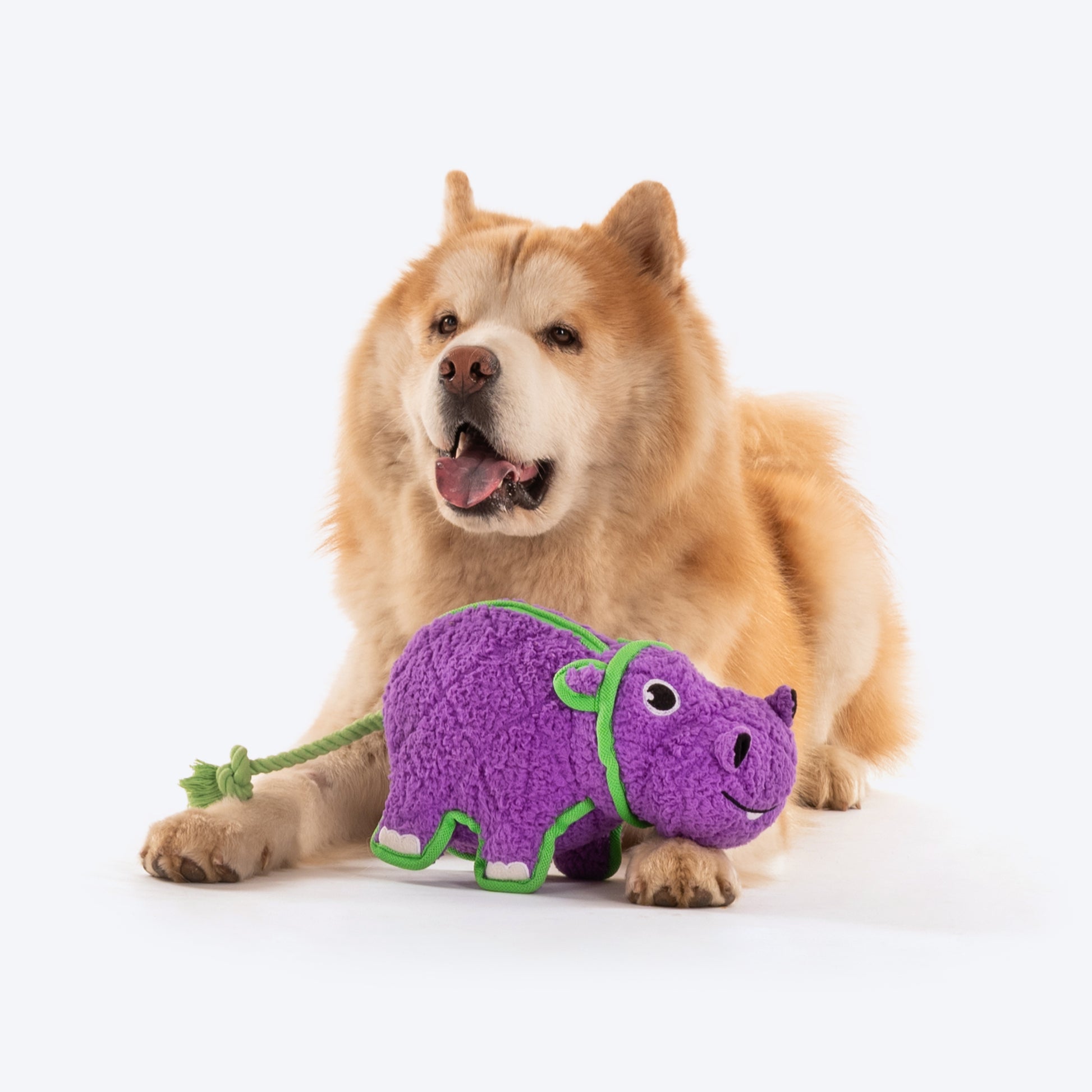 Dash Dog Hippo Tough Toy - Violet_02