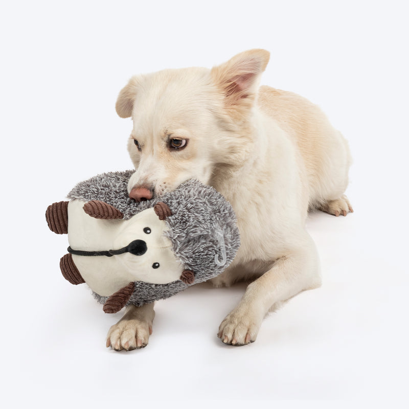 Dash Dog Harry The Hedgehog Toy For Dog - Grey - Heads Up For Tails