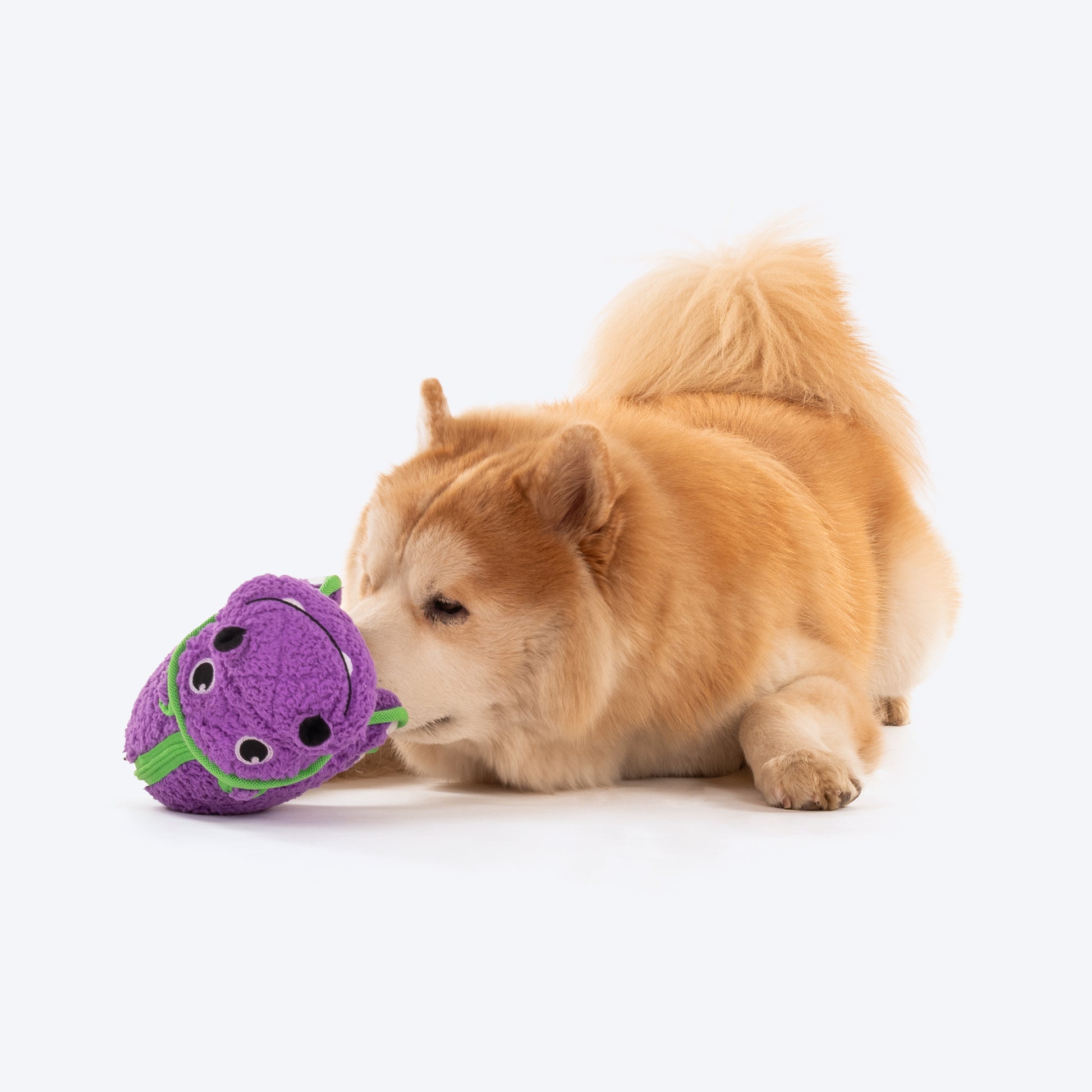 Dash Dog Hippo Tough Toy - Violet_03