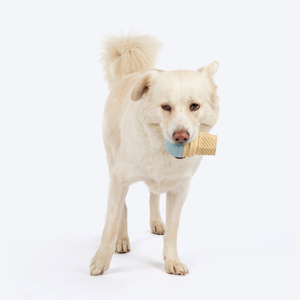 HUFT Chewtastic Swirly Scoop Chew Toy For Dog - Blue - Heads Up For Tails
