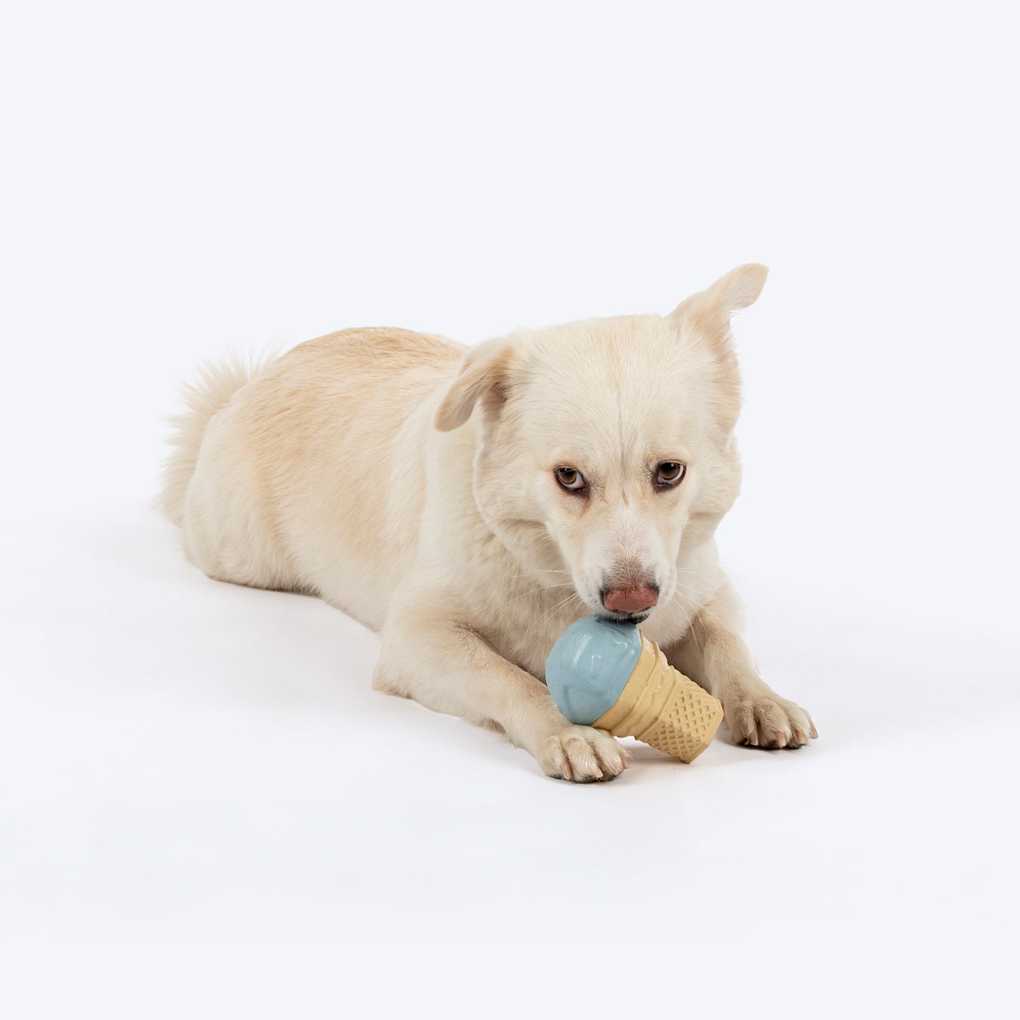 HUFT Chewtastic Swirly Scoop Chew Toy For Dog - Blue