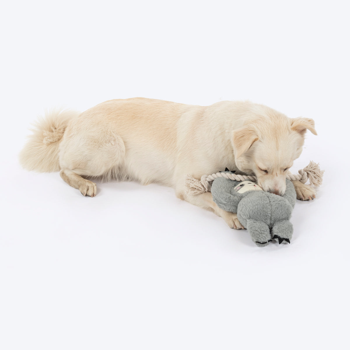 HUFT Sleepy Sloth Plush Toy for Dog - Grey - Heads Up For Tails