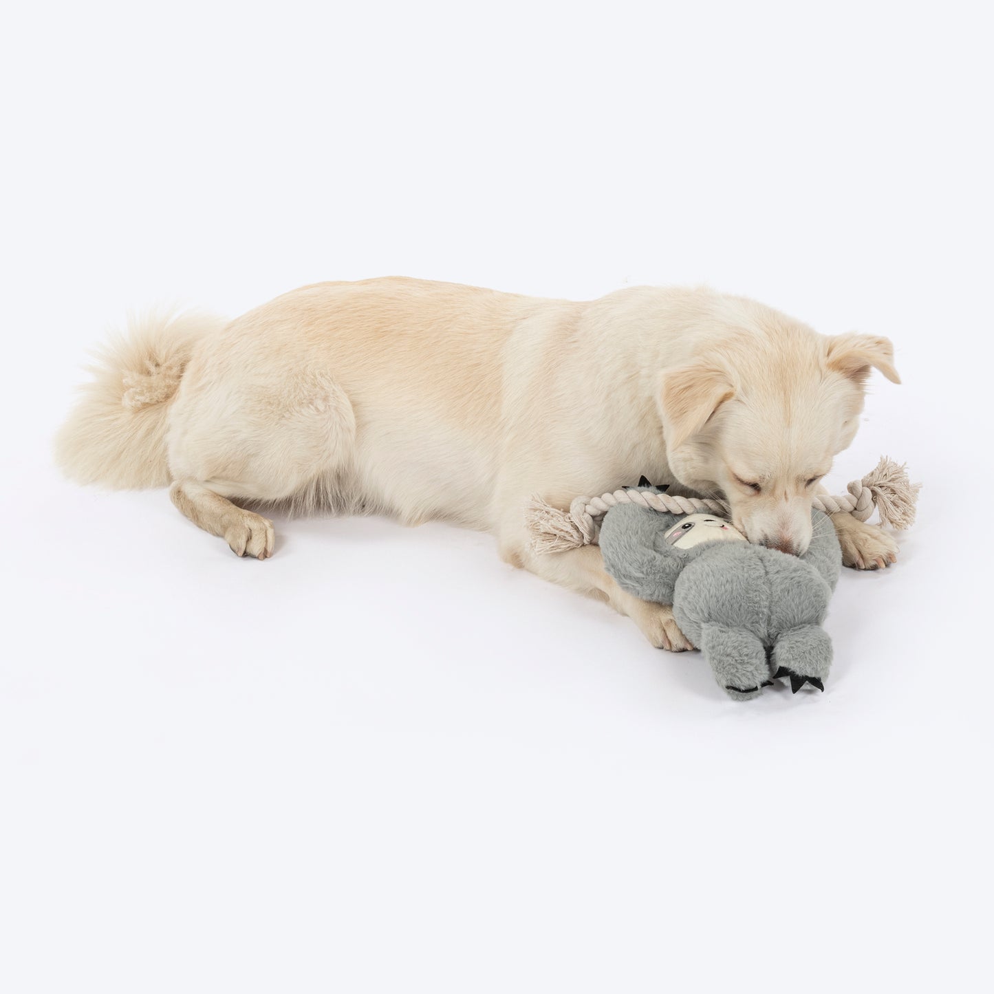 HUFT Sleepy Sloth Plush Toy for Dog - Grey