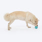 HUFT Chewtastic Swirly Scoop Chew Toy For Dog - Blue