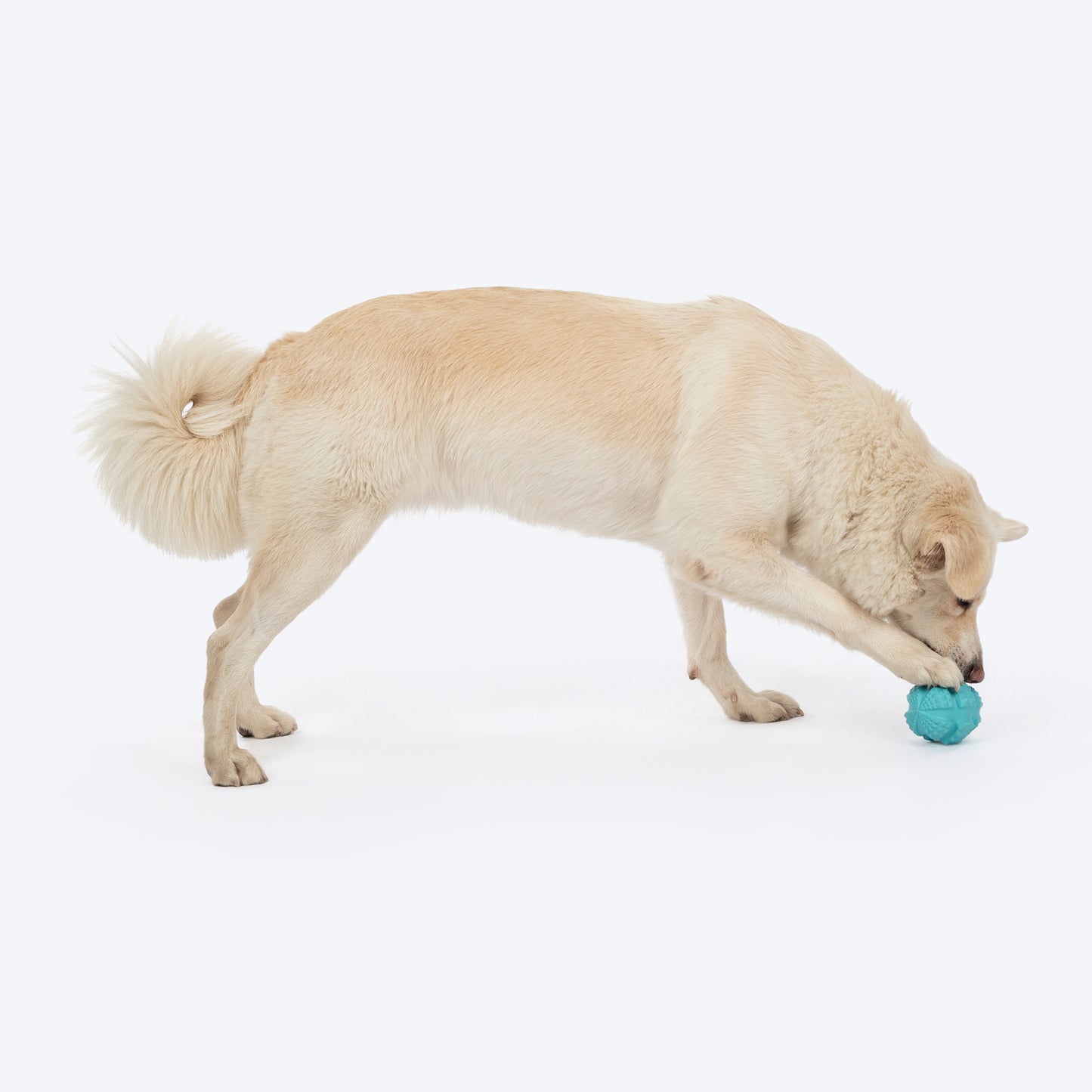 HUFT Chewtastic Swirly Scoop Chew Toy For Dog - Blue