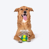 Dash Dog Grip & Go Squeaky Ball For Dog - Neon Green & Blue - Heads Up For Tails