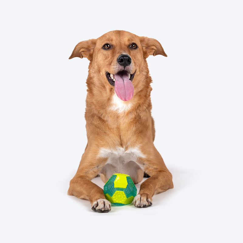 Dash Dog Grip & Go Squeaky Ball For Dog - Neon Green & Blue - Heads Up For Tails