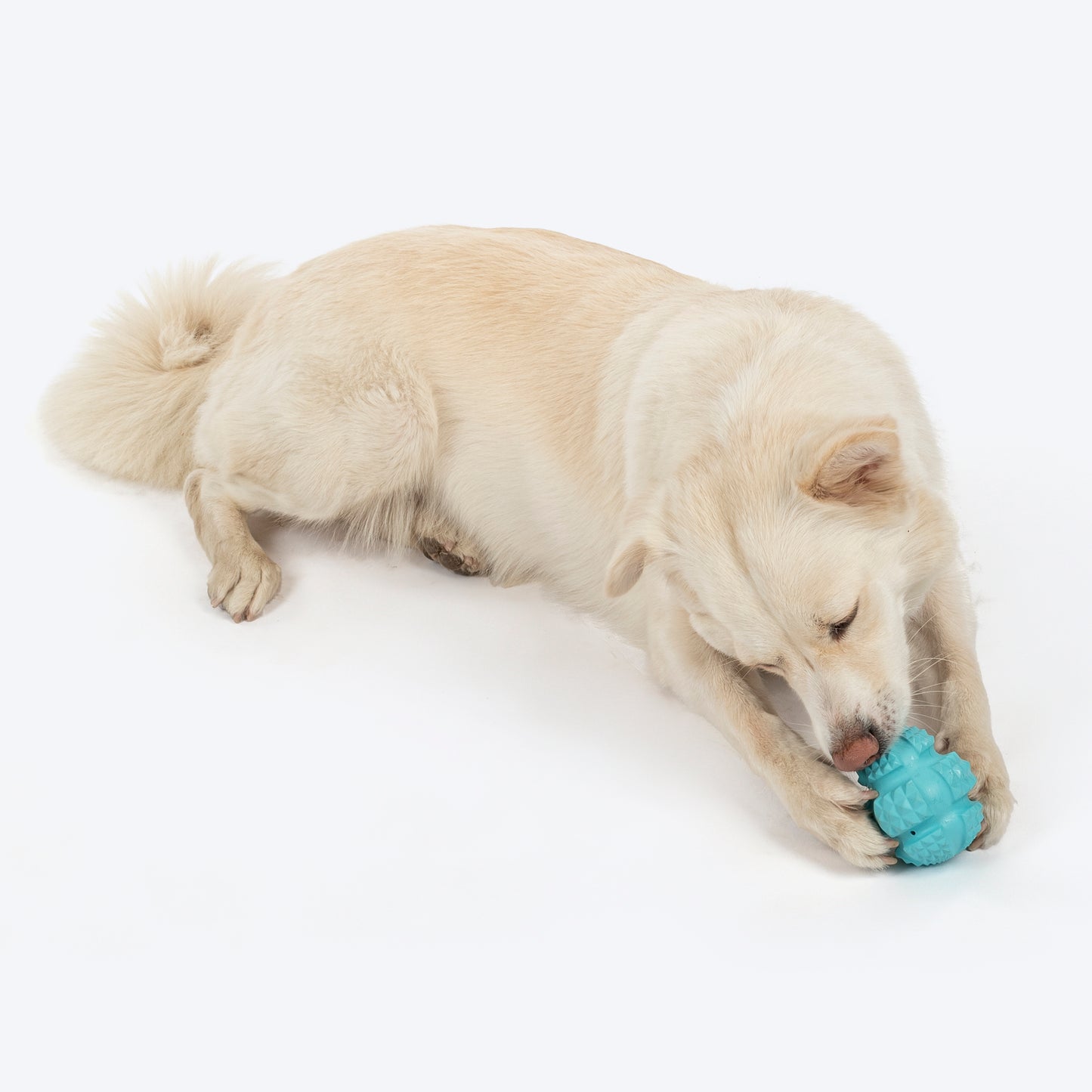 HUFT Chewtastic Swirly Scoop Chew Toy For Dog - Blue