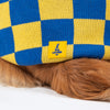 TLC Sunny Checks Sweater For Dog - Yellow & Blue - Heads Up For Tails