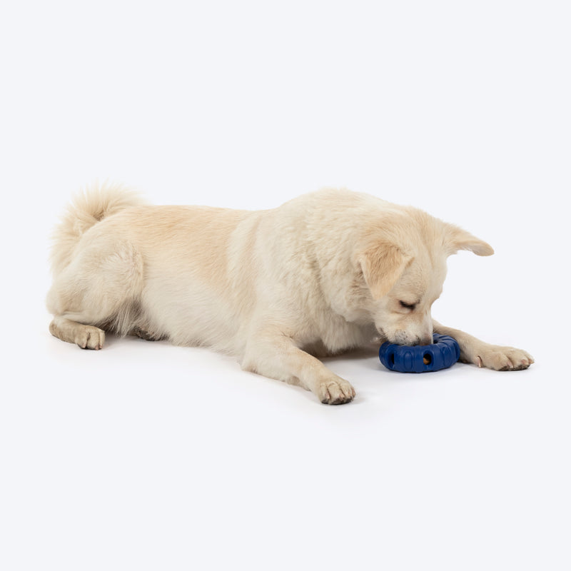HUFT Chewtastic Roll-A-Tyre Chew Toy For Dog - Blue - Heads Up For Tails