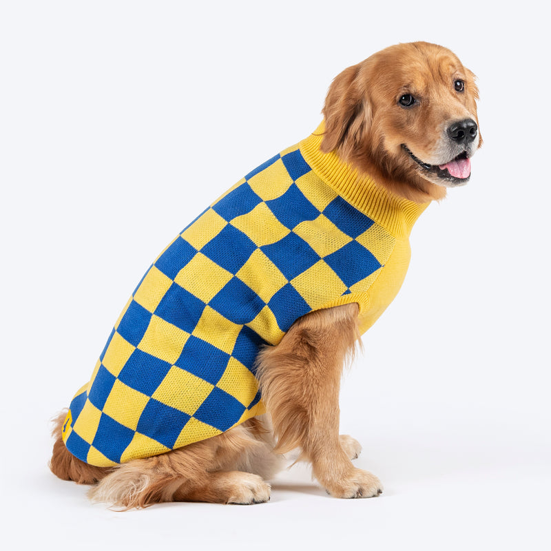 TLC Sunny Checks Sweater For Dog - Yellow & Blue - Heads Up For Tails