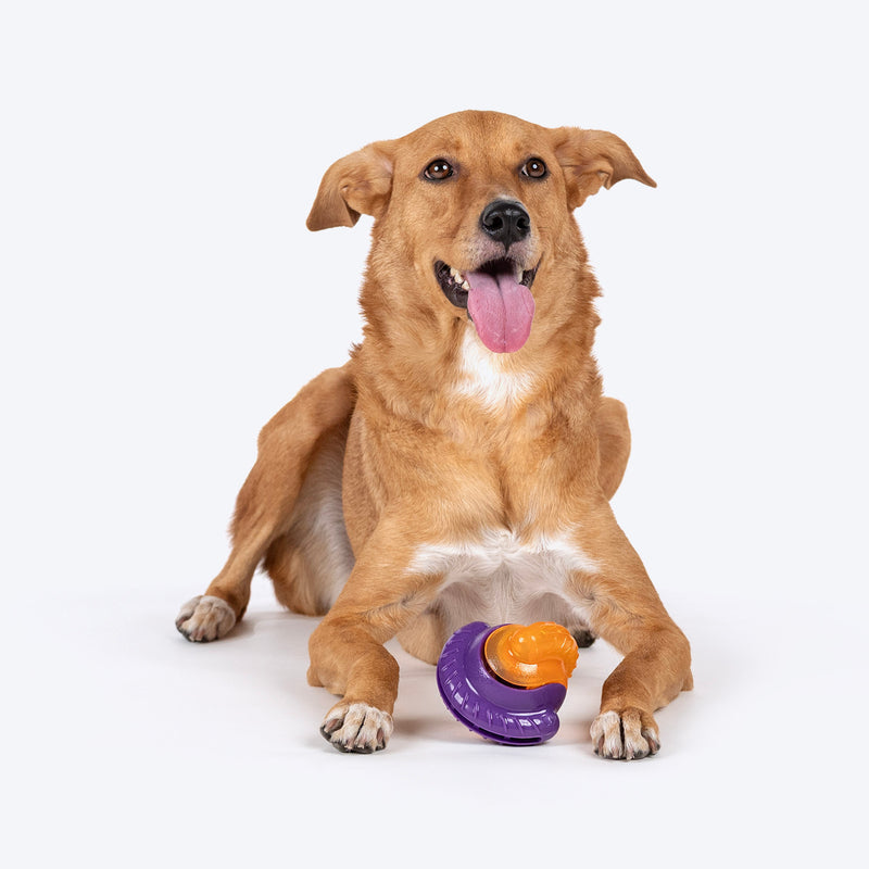 Dash Dog Chomping Champ Ball Toy For Dog - Orange & Purple - Heads Up For Tails