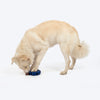 HUFT Chewtastic Roll-A-Tyre Chew Toy For Dog - Blue - Heads Up For Tails