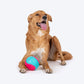 Dash Dog Squeaky Serve Tennis Ball Fetch Toy For Dog - Pink & Turquoise - L