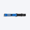 HUFT Martingale Collar For Dog - Cobalt Blue & Classic Black - Heads Up For Tails