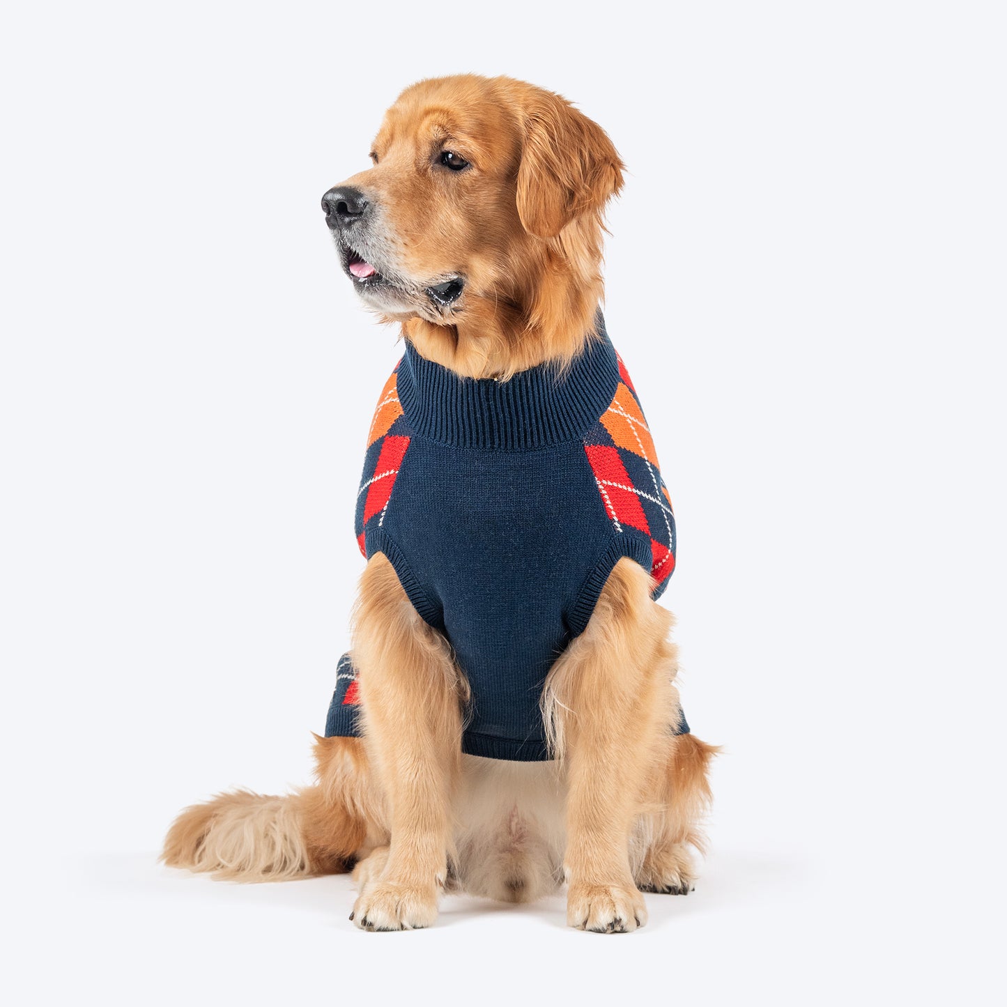 TLC Argyle Sweater For Dog - Red & Navy