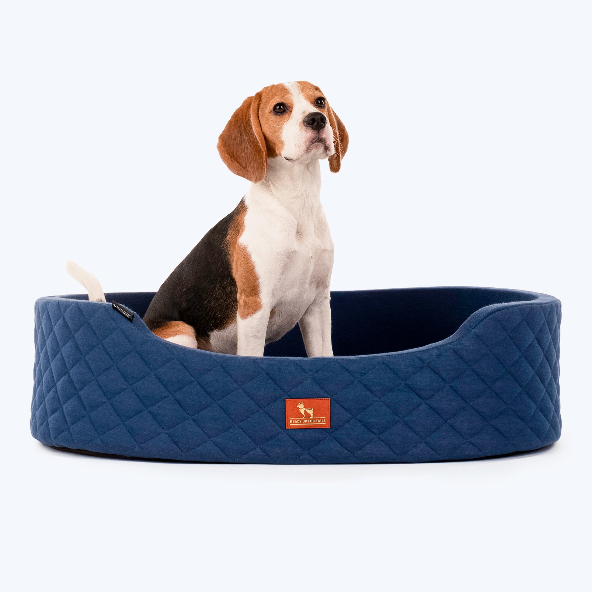 HUFT Quilted Basket Pet Bed - Egyptian Blue - Heads Up For Tails