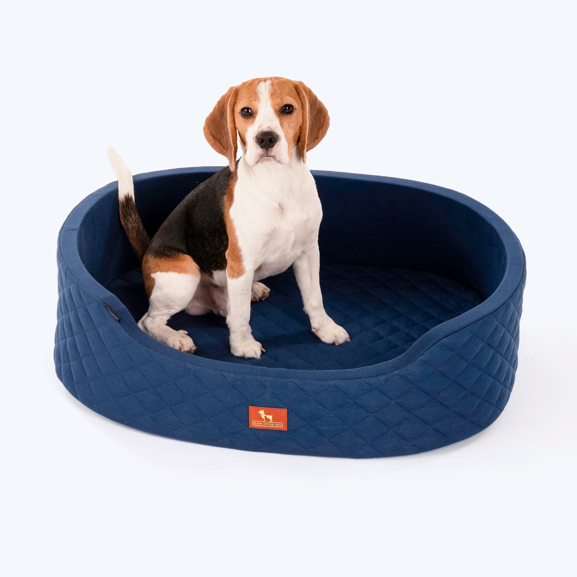 Blue beagle dog bed hotsell