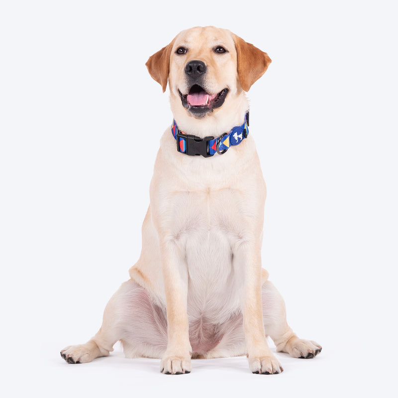 HUFT Prism Patterns Collar For Dog - Blue - Heads Up For Tails