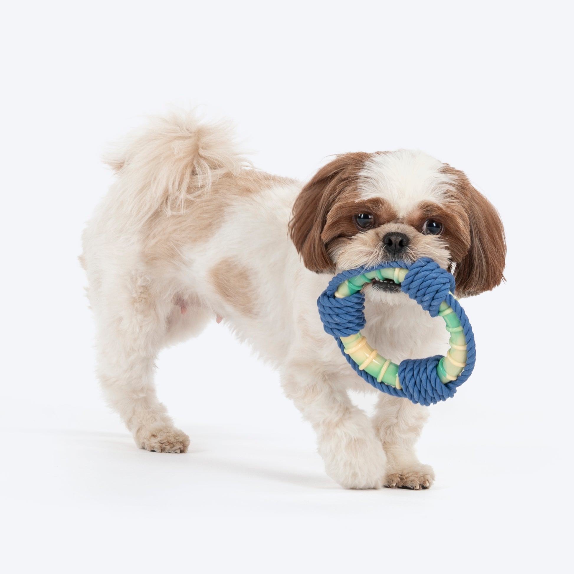 Dash Dog Disc Dasher Rope Toy For Dog - Multicolor_02