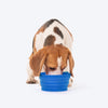 HUFT Collapsible Travel Bowl For Dog & Cat - Blue