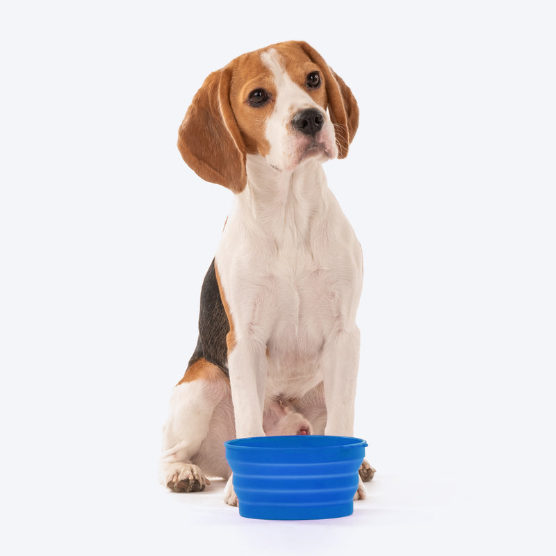 HUFT Collapsible Travel Bowl For Dog & Cat - Blue